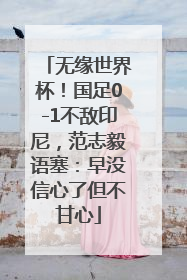 无缘世界杯！国足0-1不敌印尼，范志毅语塞：早没信心了但不甘心