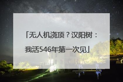无人机浇顶？汉阳树：我活546年第一次见
