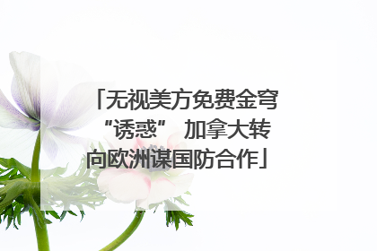 无视美方免费金穹“诱惑” 加拿大转向欧洲谋国防合作