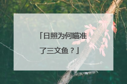 日照为何瞄准了三文鱼？