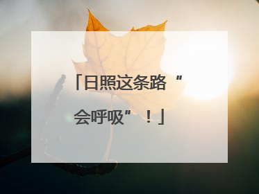 日照这条路“会呼吸”！