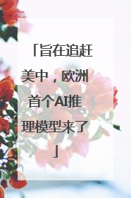 旨在追赶美中，欧洲首个AI推理模型来了