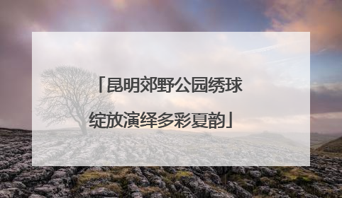 昆明郊野公园绣球绽放演绎多彩夏韵