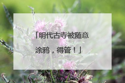 明代古寺被随意涂鸦，得管！
