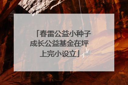 春雷公益小种子成长公益基金在坪上完小设立