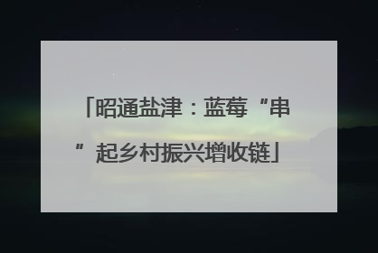 昭通盐津：蓝莓“串”起乡村振兴增收链