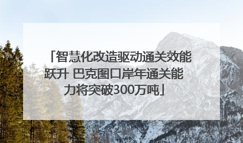 智慧化改造驱动通关效能跃升 巴克图口岸年通关能力将突破300万吨