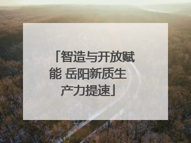 智造与开放赋能 岳阳新质生产力提速