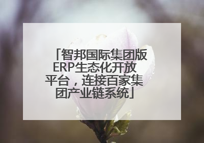 智邦国际集团版ERP生态化开放平台，连接百家集团产业链系统