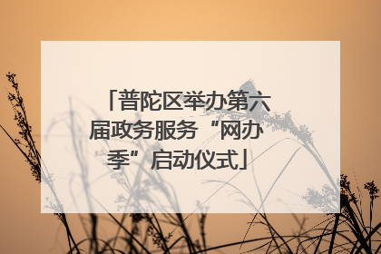 普陀区举办第六届政务服务“网办季”启动仪式