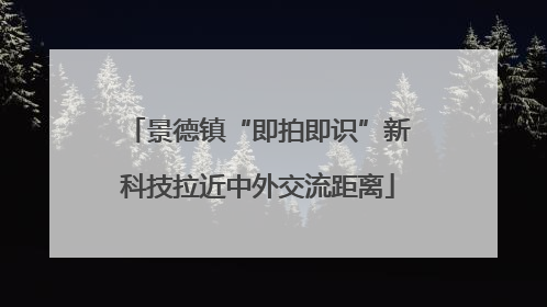 景德镇“即拍即识”新科技拉近中外交流距离