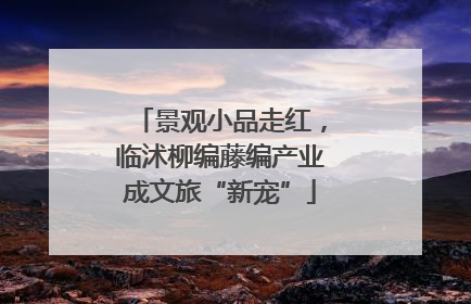 景观小品走红，临沭柳编藤编产业成文旅“新宠”