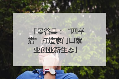 景谷县：“四举措”打造家门口就业创业新生态