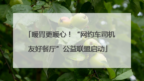 暖胃更暖心！“网约车司机友好餐厅”公益联盟启动