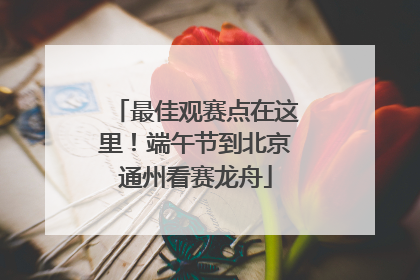 最佳观赛点在这里！端午节到北京通州看赛龙舟