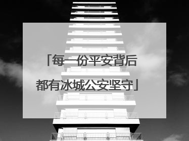 每一份平安背后 都有冰城公安坚守