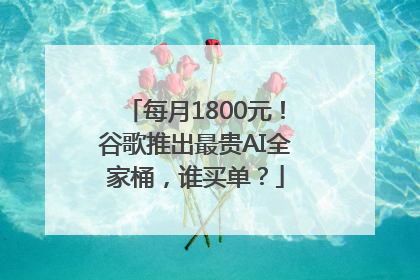 每月1800元！谷歌推出最贵AI全家桶，谁买单？