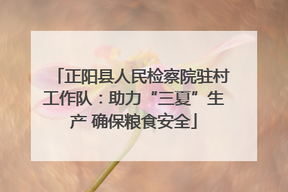 正阳县人民检察院驻村工作队：助力“三夏”生产 确保粮食安全