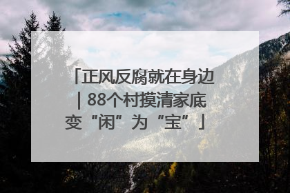 正风反腐就在身边｜88个村摸清家底变“闲”为“宝”