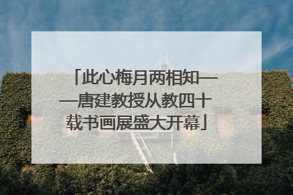 此心梅月两相知——唐建教授从教四十载书画展盛大开幕