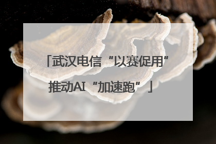 武汉电信“以赛促用”推动AI“加速跑”