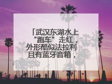 武汉东湖水上“跑车”走红，外形酷似法拉利且有蓝牙音箱，负责人：高峰期一两百人排队