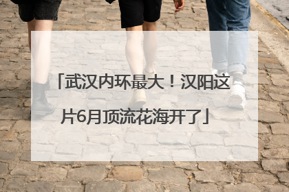 武汉内环最大！汉阳这片6月顶流花海开了