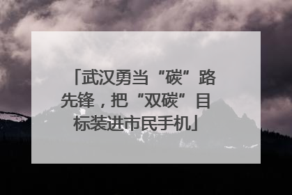 武汉勇当“碳”路先锋，把“双碳”目标装进市民手机