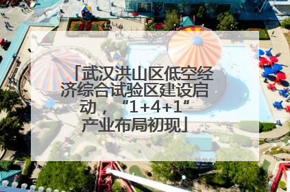 武汉洪山区低空经济综合试验区建设启动，“1+4+1”产业布局初现