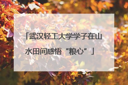 武汉轻工大学学子在山水田间感悟“粮心”