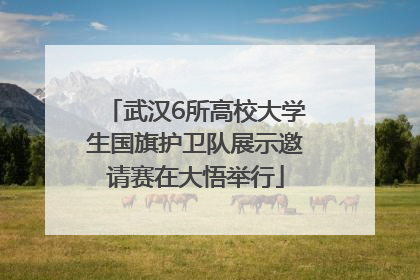 武汉6所高校大学生国旗护卫队展示邀请赛在大悟举行