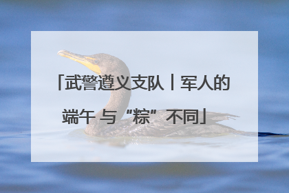 武警遵义支队︱军人的端午 与“粽”不同