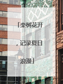 栾树花开，记录夏日浪漫
