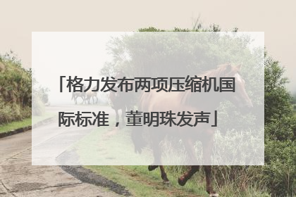 格力发布两项压缩机国际标准，董明珠发声