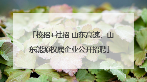 校招+社招 山东高速、山东能源权属企业公开招聘