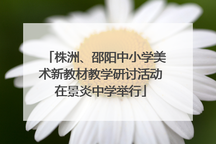 株洲、邵阳中小学美术新教材教学研讨活动在景炎中学举行