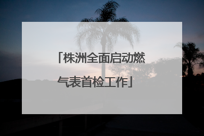 株洲全面启动燃气表首检工作