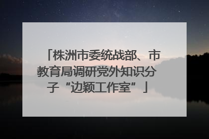 株洲市委统战部、市教育局调研党外知识分子“边颖工作室”