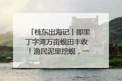 桂东出海记丨即墨丁字湾万亩蚬田丰收！渔民泥里挖蚬，一天上岸过千斤