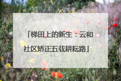 梯田上的新生：云和社区矫正五载耕耘路