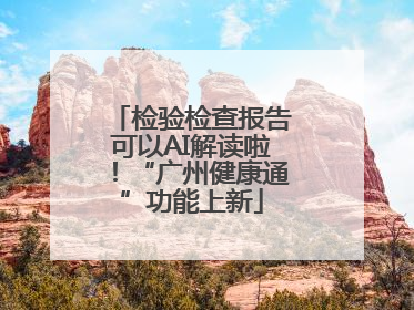 检验检查报告可以AI解读啦！“广州健康通”功能上新