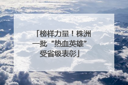 榜样力量！株洲一批“热血英雄”受省级表彰