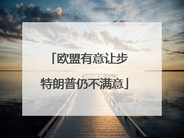 欧盟有意让步 特朗普仍不满意
