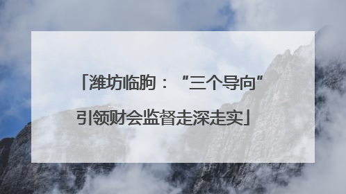 潍坊临朐：“三个导向”引领财会监督走深走实
