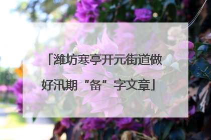 潍坊寒亭开元街道做好汛期“备”字文章