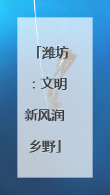 潍坊：文明新风润乡野