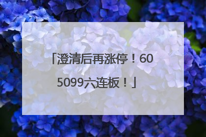 澄清后再涨停！605099六连板！