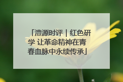 澧源时评｜红色研学 让革命精神在青春血脉中永续传承