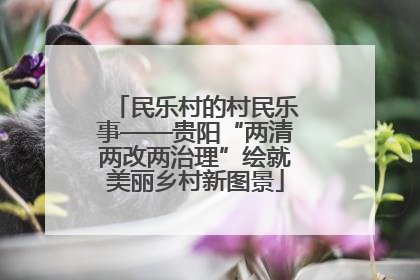 民乐村的村民乐事——贵阳“两清两改两治理”绘就美丽乡村新图景
