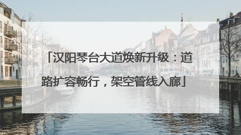 汉阳琴台大道焕新升级：道路扩容畅行，架空管线入廊